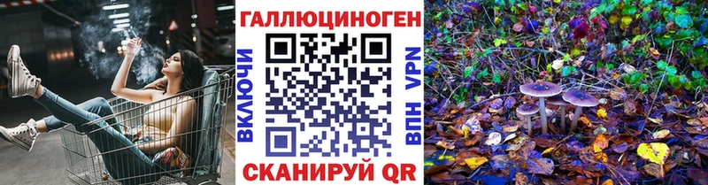 Галлюциногенные грибы Psilocybine cubensis  Купить где  Белая Холуница 