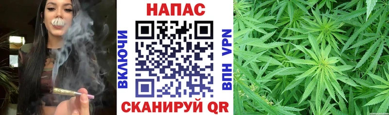 Бошки марихуана THC 21%  Купить закладки  Белая Холуница 